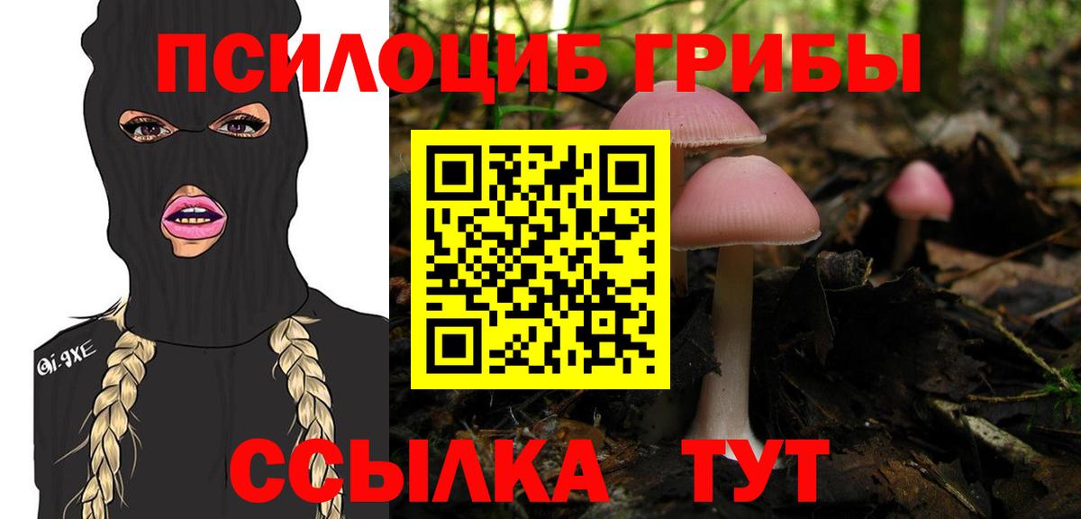 Южно-Сахалинск  Галлюциногенные грибы прущие грибы  Вход с VPN 